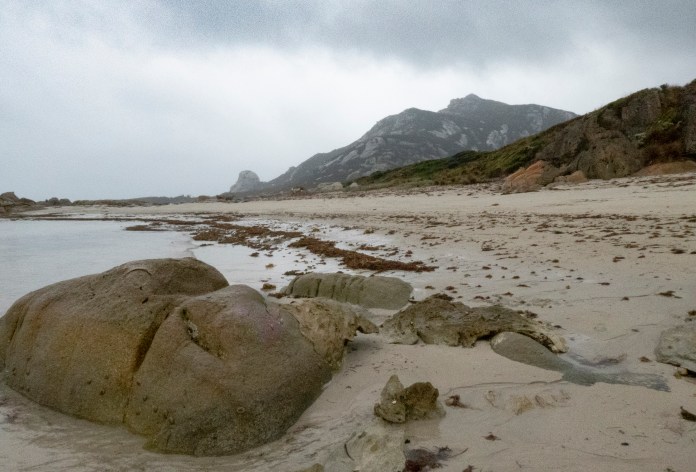 xP1040723 - Copy - Copy