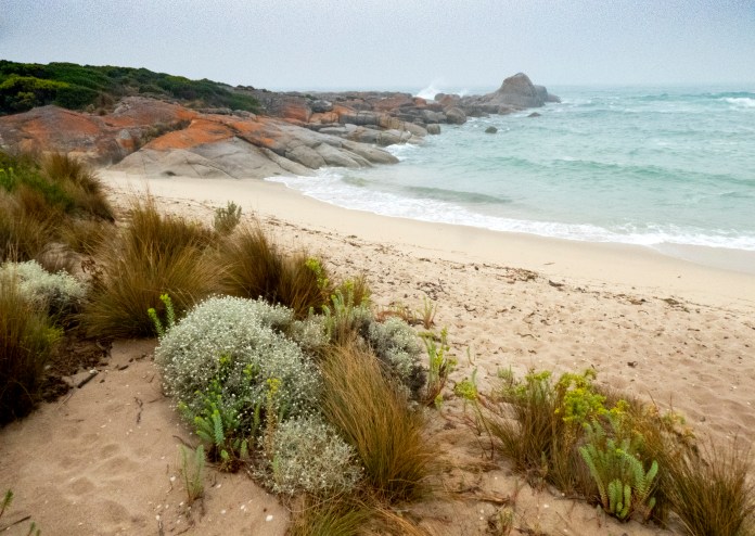 xP1040741 - Copy - Copy