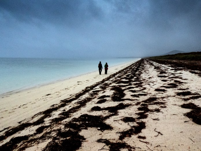 xP1040771 - Copy - Copy