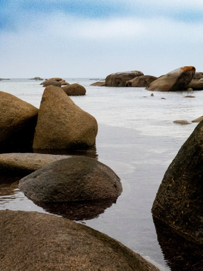 xP1040808 - Copy - Copy - Copy