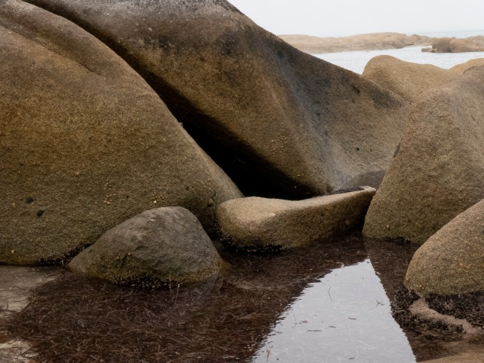 xP1040810 - Copy - Copy - Copy