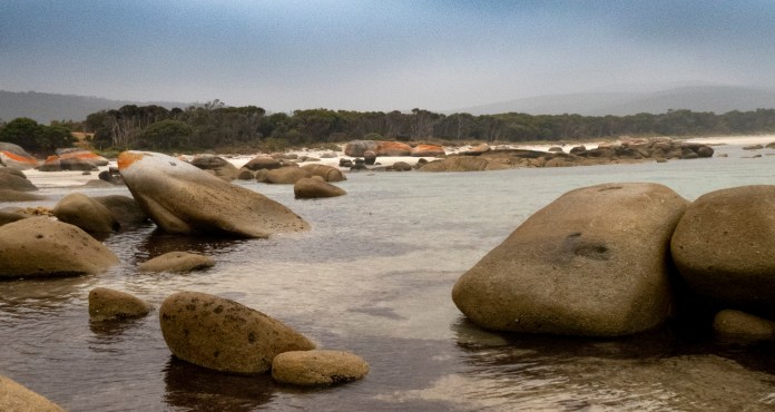 xP1040819 - Copy - Copy - Copy