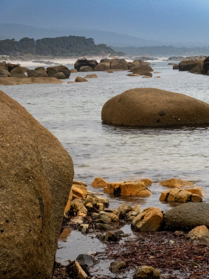 xP1040824 - Copy - Copy - Copy