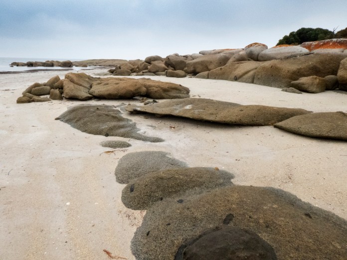 xP1040847 - Copy - Copy - Copy