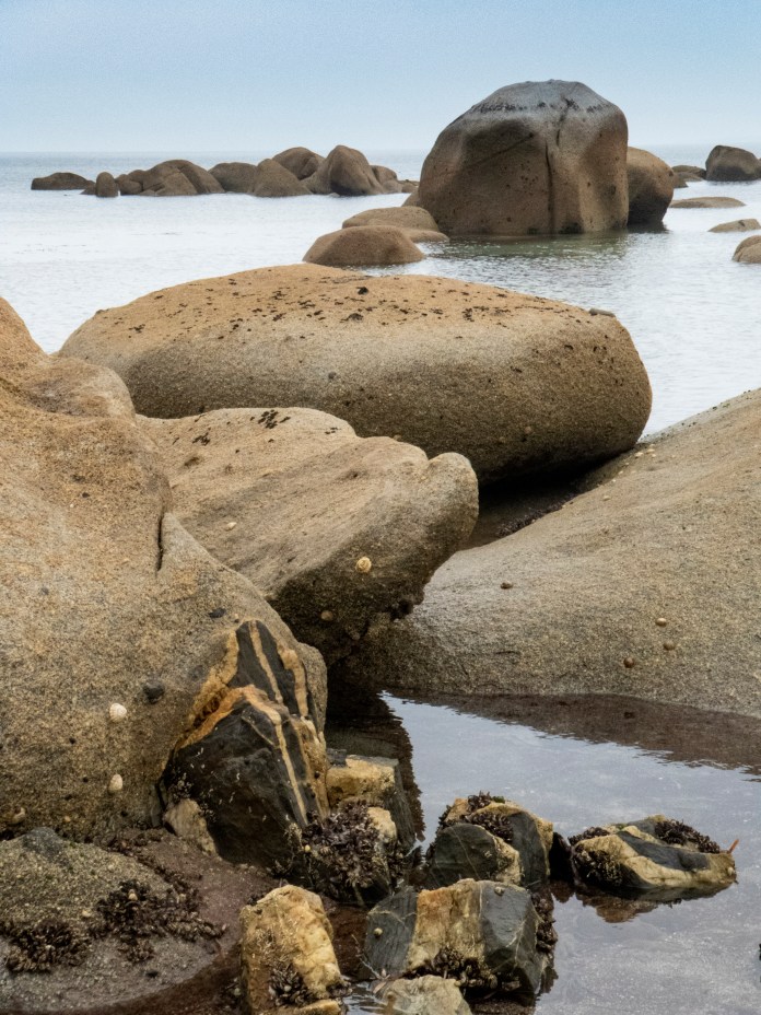 xP1040862 - Copy - Copy - Copy