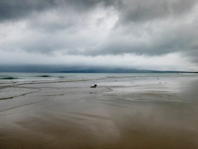 xP1040889 - Copy - Copy - Copy